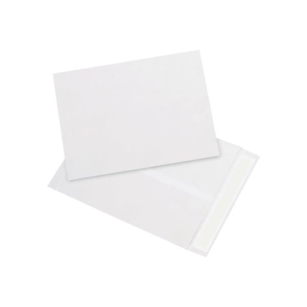 Bsc Preferred 9 x 12'' White Flat Tyvek Envelopes, 100PK BUY00029095 - main